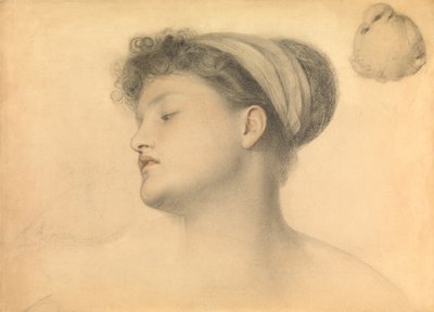 Studie für Mädchen mit Tauben von Anthony Frederick Augustus Sandys